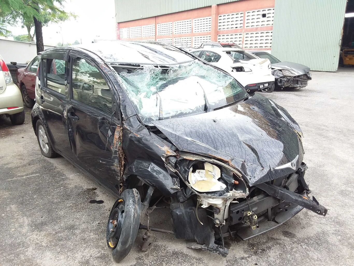 2006 PERODUA MYVI Wreck - Pickles Auctions buy industrial 